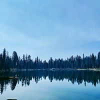 Camp Fleischmann ico