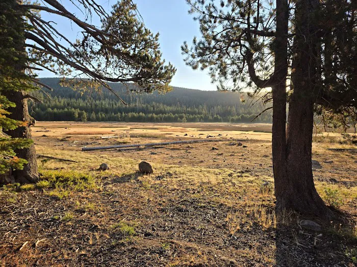Dry Lake Campground Picture 1