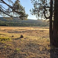 Dry Lake Campground ico