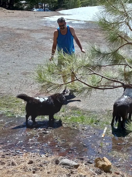 Battle Creek Campground Picture 5