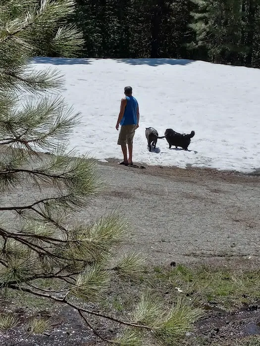 Battle Creek Campground Picture 1