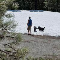 Battle Creek Campground ico