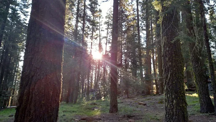 Battle Creek Campground Picture 6