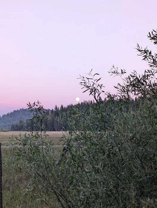 Mt. Lassen Camp (AG) Picture 3