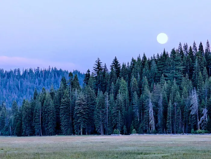 Mt. Lassen Camp (AG) Picture 6