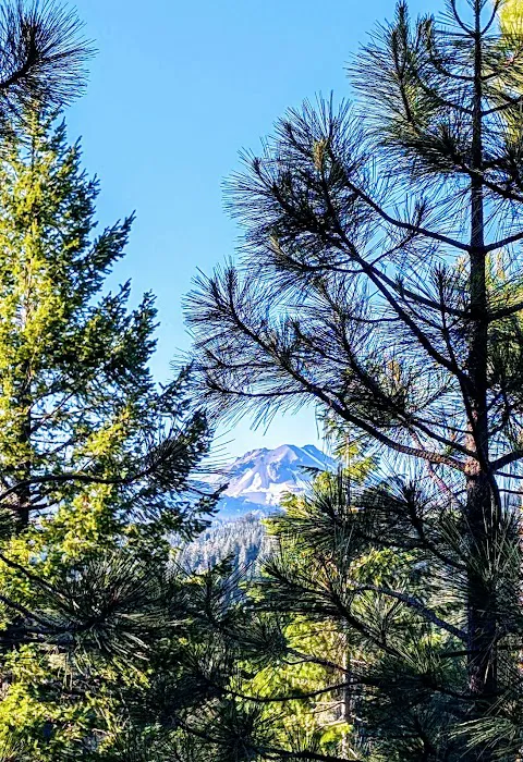 Mt. Lassen Camp (AG) Picture 2