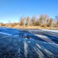Pineview estates ico