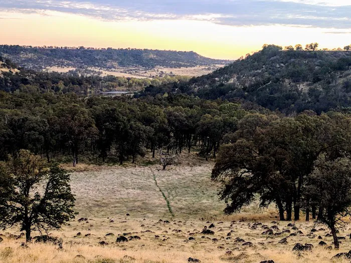 Massacre flat Campground Picture 6