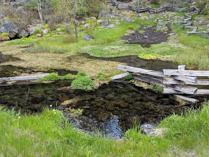 Domingo Spring Campground Picture 7