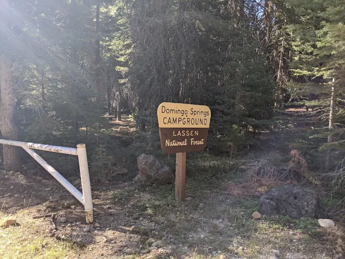 Domingo Spring Campground Picture 2