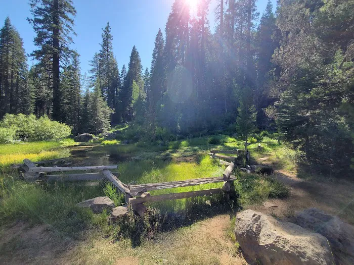 Domingo Spring Campground Picture 8