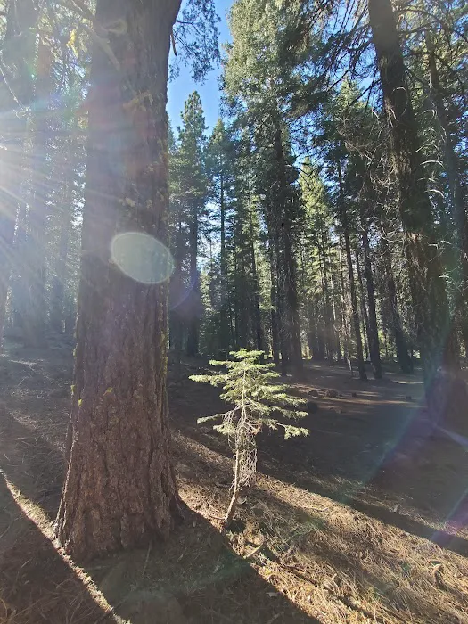 Domingo Spring Campground Picture 10