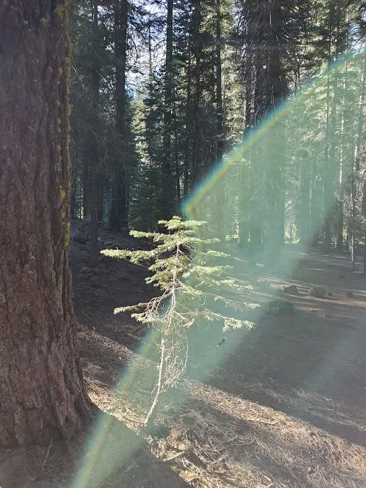 Domingo Spring Campground Picture 4