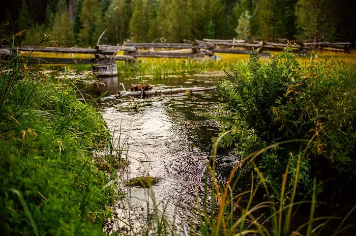 Domingo Spring Campground Picture 3