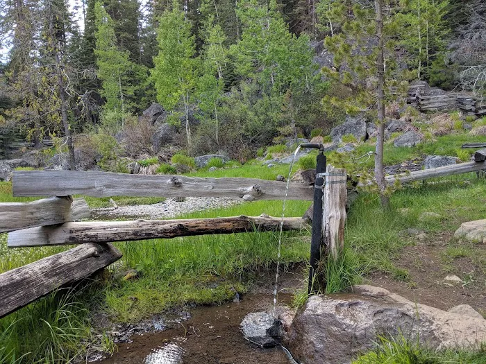 Domingo Spring Campground Picture 6