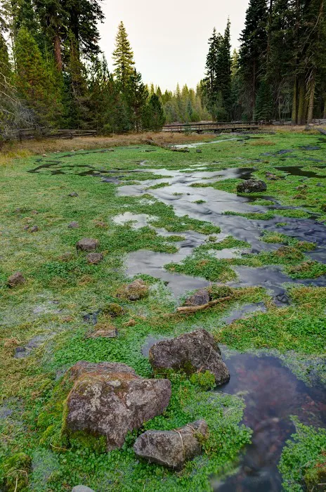 Domingo Spring Campground Picture 5