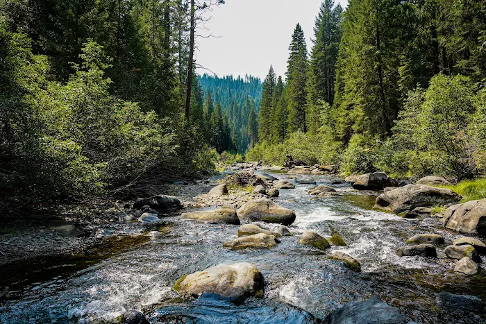 Mill Creek Campground Picture 4