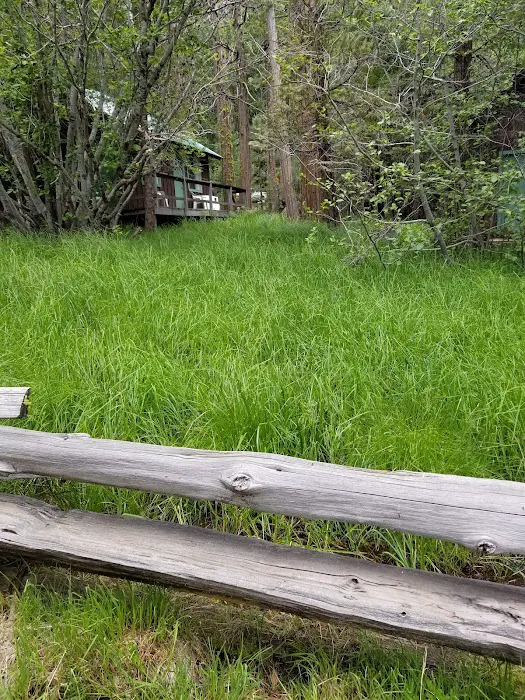 Mill Creek Campground Picture 7