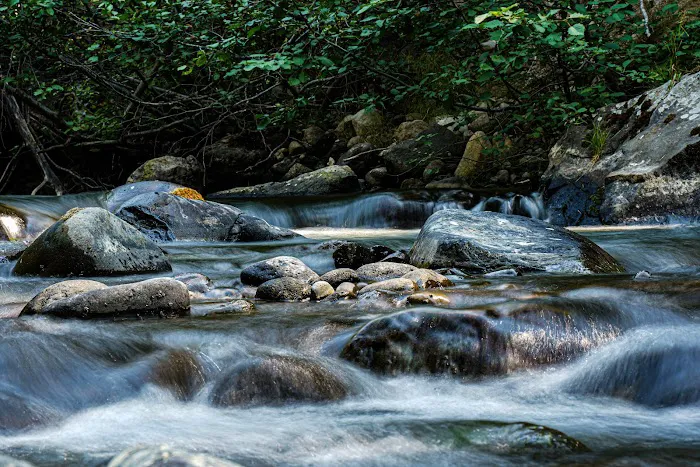 Mill Creek Campground Picture 3