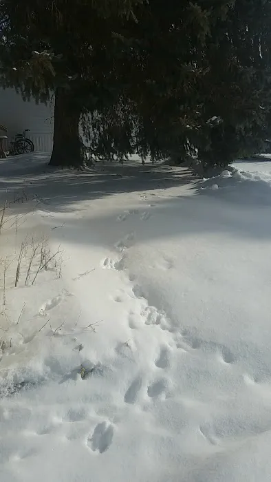 Circle Drive Mobile Home Park Picture 3