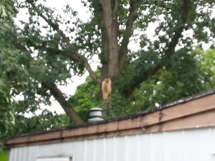 Holiday Terrace Mobile Home Park Picture 1