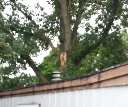 Holiday Terrace Mobile Home Park