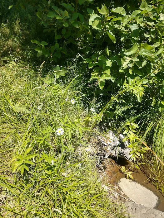 Hole-in-the-Ground Campground Picture 3
