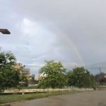 Big Rapids Mobile Home Court