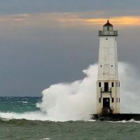 Country View Estates ico