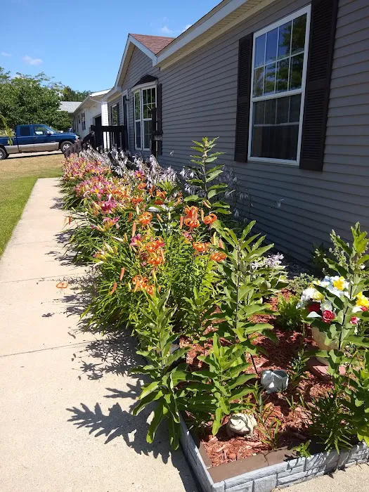 Country View Estates Picture 9