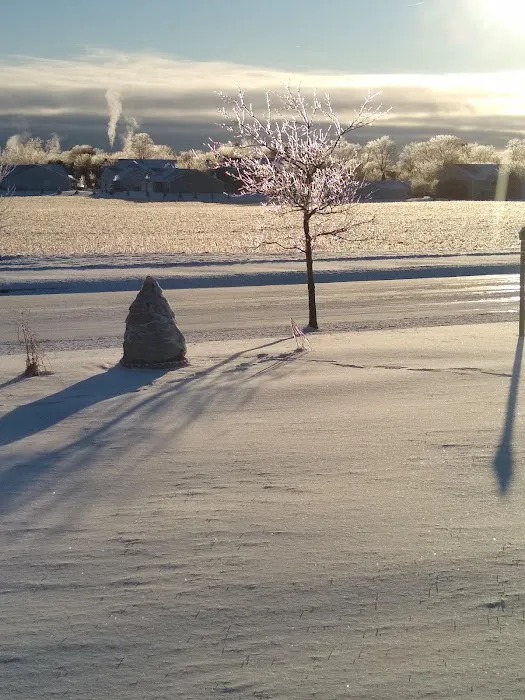 Country View Estates Picture 8