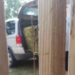 Maple Island Estates