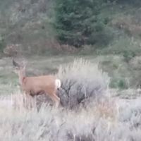 Riverview Campground ico