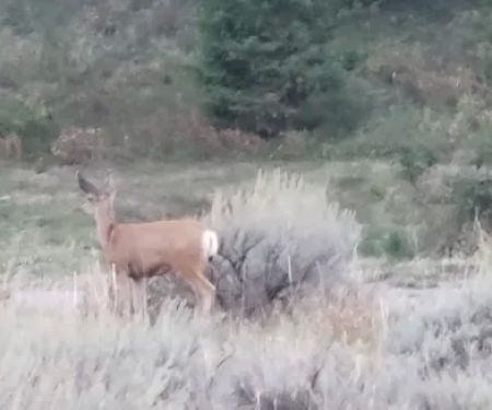 Riverview Campground