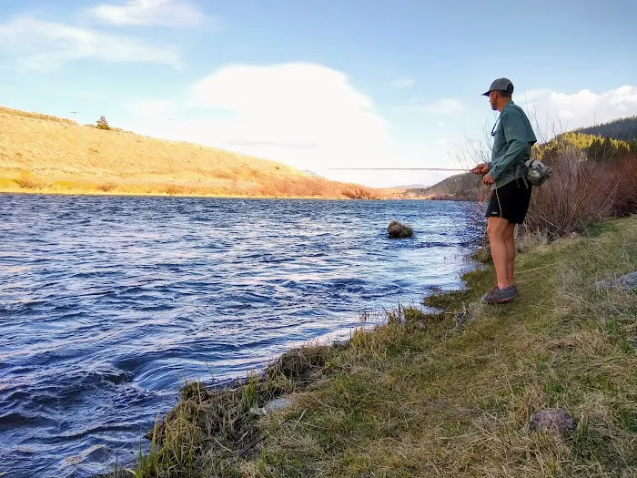 Madison River Campground Picture 5