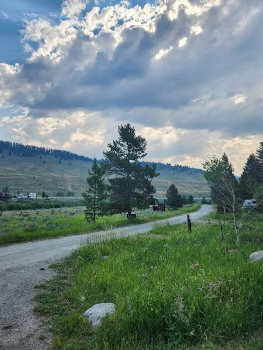 Madison River Campground Picture 6