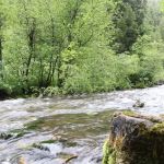 Spire Rock Campground