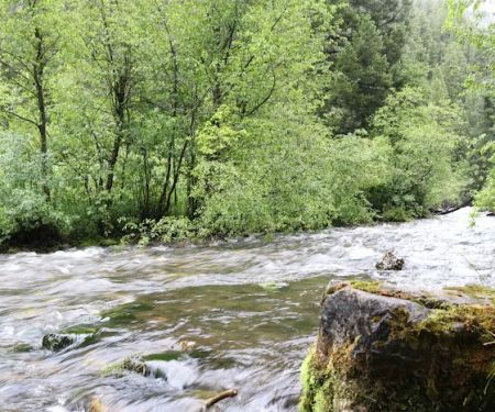 Spire Rock Campground