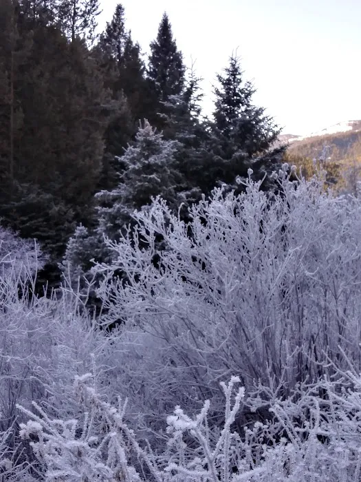 Spire Rock Campground Picture 4