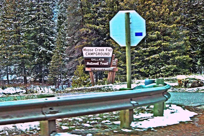 Moose Creek Flat Campground Picture 9