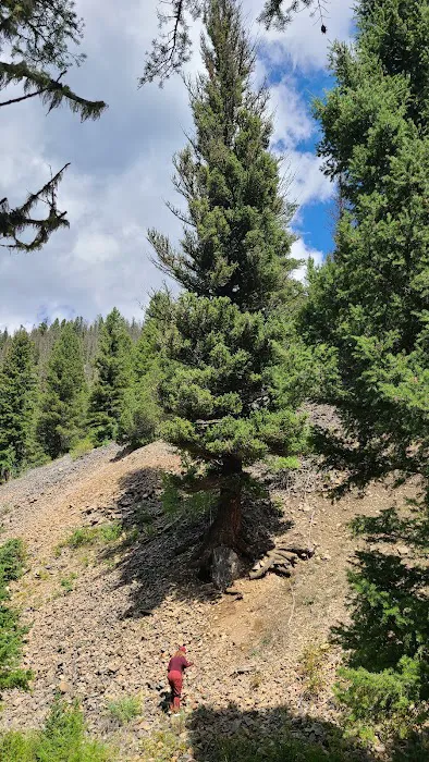 Moose Creek Flat Campground Picture 6