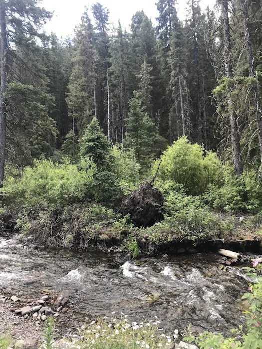 Swan Creek Campground Picture 1