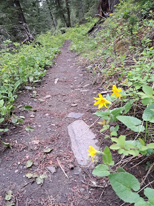 Swan Creek Campground Picture 7