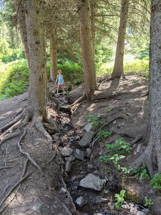 Moose Creek Group Site Picture 6