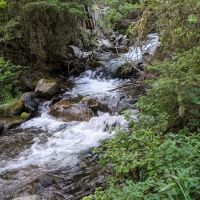 Moose Creek Group Site ico