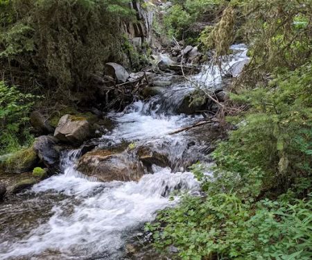 Moose Creek Group Site