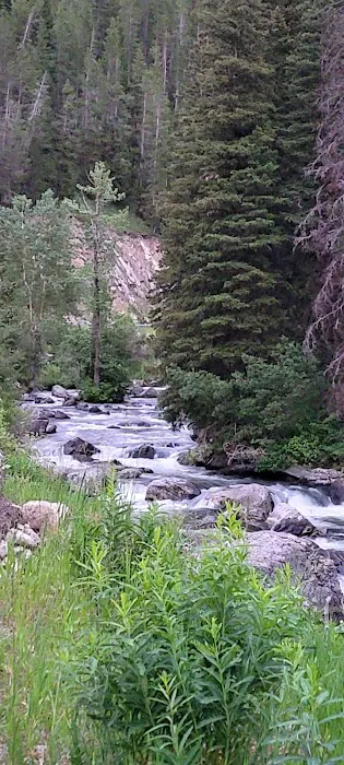 Lower Hyalite Group Campground Picture 4