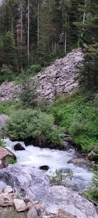 Lower Hyalite Group Campground Picture 8