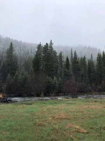 Langohr Campground Picture 3