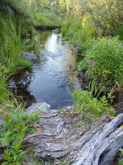 Langohr Campground Picture 8